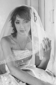 The beautiful bride is closed by a veil