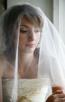 The beautiful bride is closed by a veil