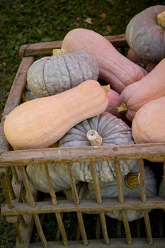 bio farmers market in northern italy