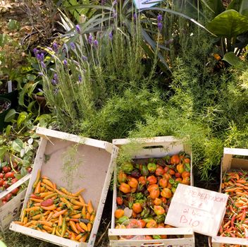 farmer's market italy - bio food