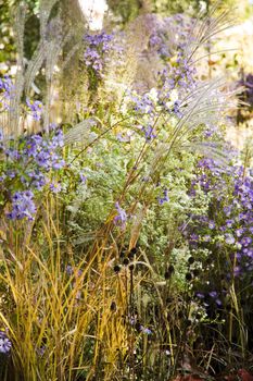 different plants and flowers a castle garden italy