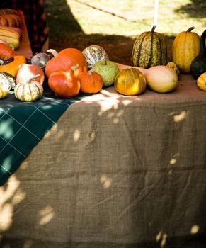 italian fall farmers market and bio vegetables