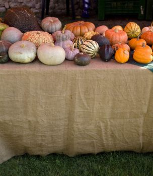 vendor's table at farmers market europe - bio only