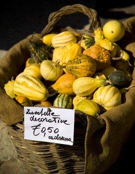 farmers markets pumpkins euro 5 cents each one