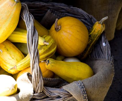 vendor's table at farmers market europe - bio only