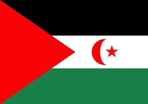 Illustrated flag of Western Sahara