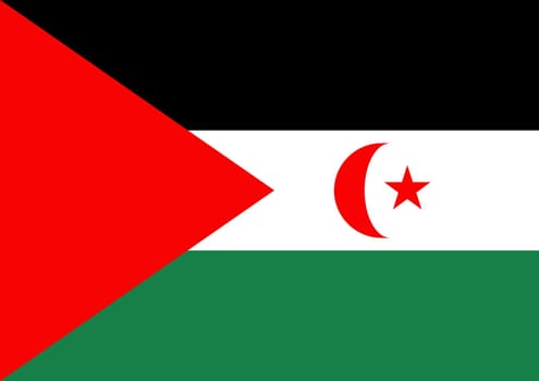 Illustrated flag of Western Sahara