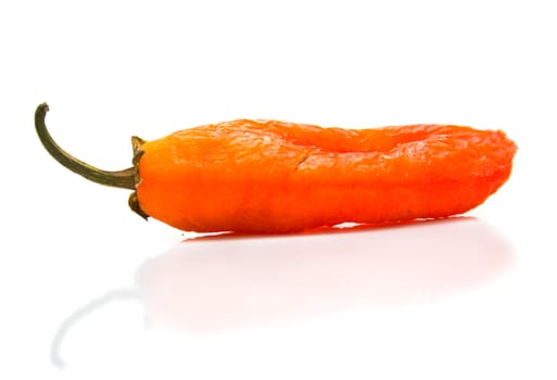 Red pepper on a white background. Isolation, shallow DOF