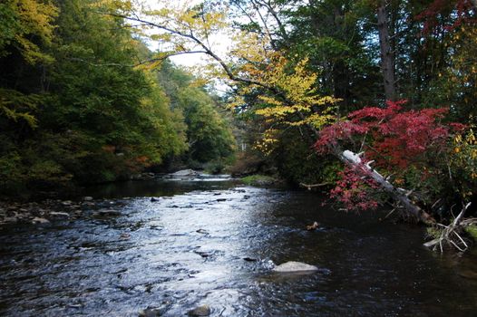 A river seen during the fall of the year in rural North Carolina