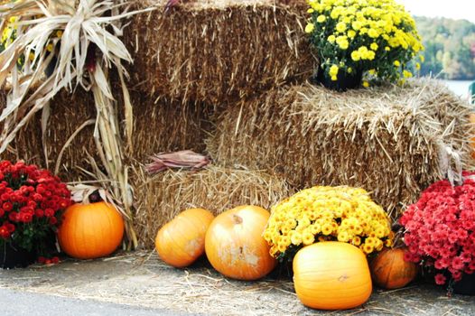 Scenes of the fall season in rural North Carolina
