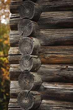 Full screen high resolution shot of wood.