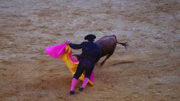 Traditional corrida bullfighting in spain