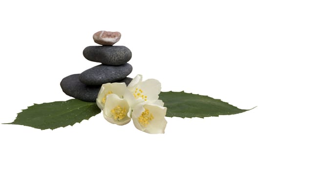 Jasmine and stones isolated on white