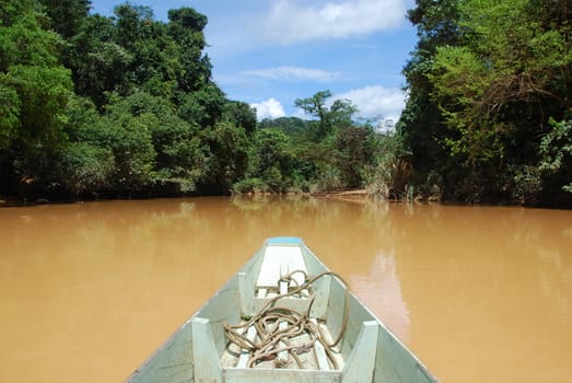 Boat on a river in a tropical rain forest
