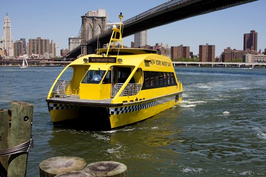 New York City's water taxi arriving at Fulton Ferry landing in Brooklyn. Here seen with the Brooklyn Bridge in the background on a bright sunny day with a depp blue sky.