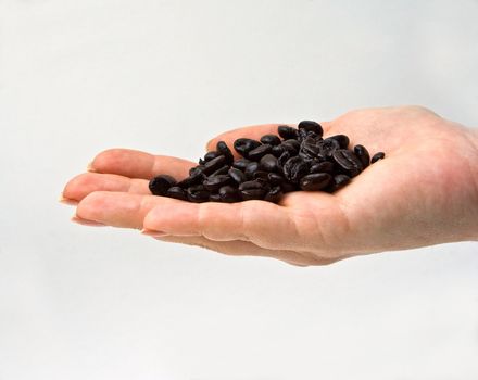 Female hand presenting freshly dark roasted gourmet coffee beans on a white background