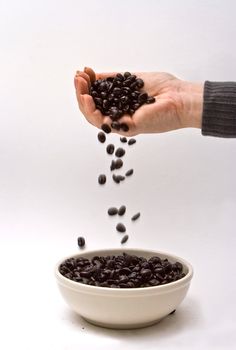 Female hand pooring fresh roasted coffee beens showing its high quality into a white bowl, on a white background
