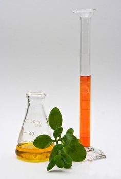 A yellow liquid in a flask and orange liquid in a cylinder with some leaves in the front on a white background