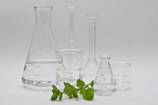 Clean and clear chemistry for cosmetic beauty products; clear liquids in a variety of bottles and flasks on a white background and a plant in the front