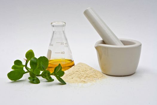 A yellow liquid in a flask with a powder and some leaves in front and a white mortar on a white background
