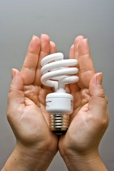 Two female hands presenting an environmental friendly and power saving fluorescent light bulb.