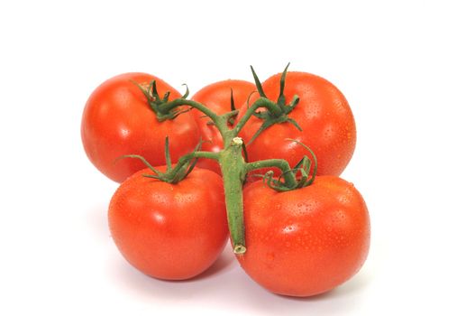 Tomatoes on vine isolated on white background.