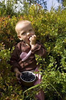 Toddler (one year old) sitting in a forest eating bilberries (european blueberries).