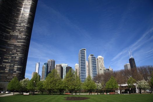 Buildings of Chicago rise from a city park