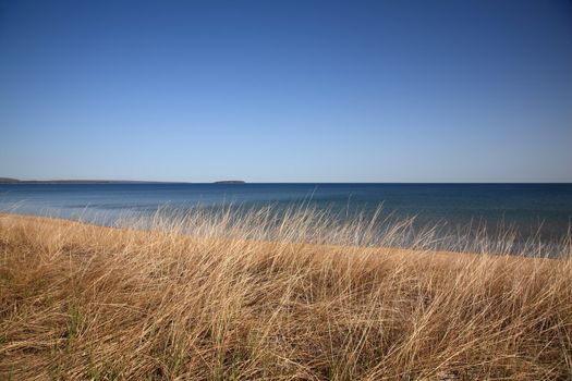Grassy shoreline and beach of a North American Great Lake