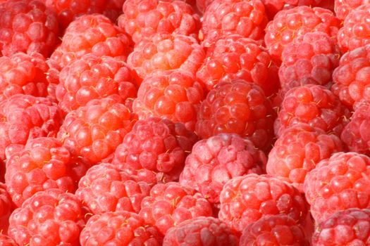 Close up of the juicy raspberry for the background.