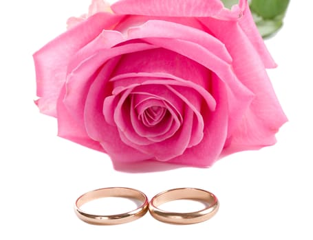 close-up pink rose and two wedding rings, isolated on white