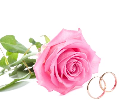 close-up pink rose and wedding rings, isolated on white