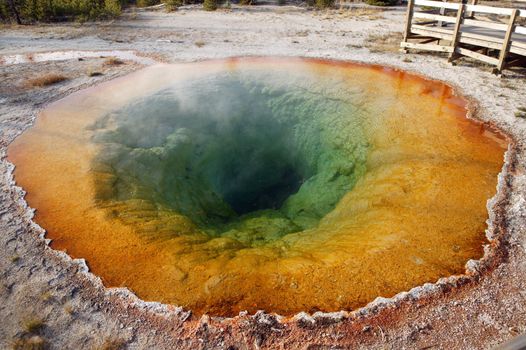Morning Glory geyser in Yellowstone National Park
