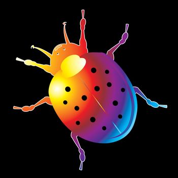 brightly coloured lady bug cartoon like on  black background