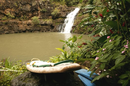 Hidden gem at the Waimea Audobon in Oahu, Hawaii