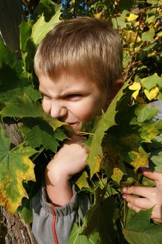 Little, blonde boy with leaves. Autumn park.