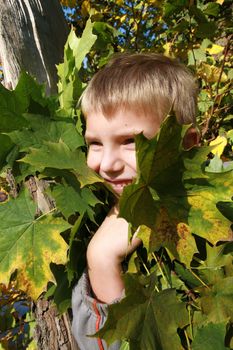 Little, blonde boy with leaves. Autumn park.