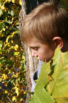 Little, blonde boy with leaves. Autumn park.