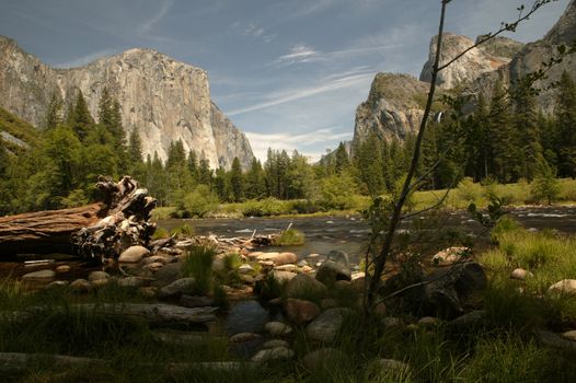 Grand view of Yosemite National Park