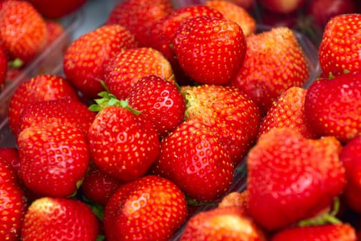 Fresh red summer strawberry on street market. Close up.