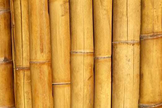 Yellow bamboo screen. A close up