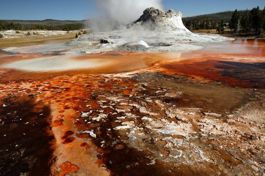 Erupting geyser in Yellowstone National Park
