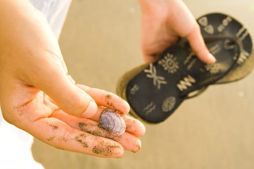 Woman holding sandals and shell on sand beach.