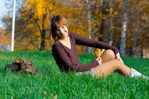 The young girl and the dog on a green grass in autumn park