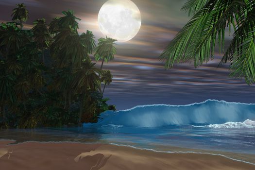 Moonlight shines down on this gorgeous beach during the night of the full moon.