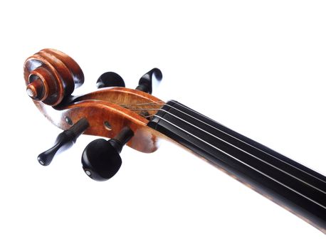 violin head