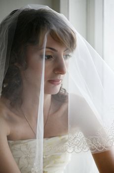 The beautiful bride is closed by a veil