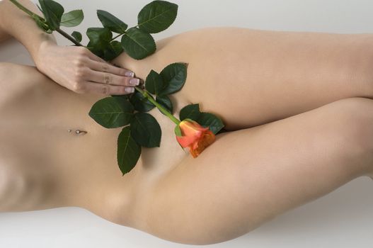 close up of a woman body with a red rose on her pubes