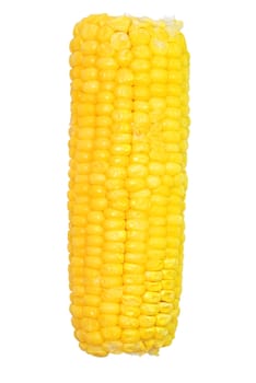Corn on the cob isolated on white background with clipping path.