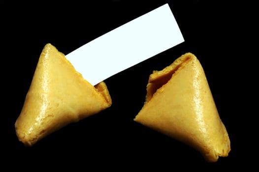 Fortune cookie with blank paper for text.